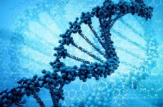 В УжНУ откроют центр геномных исследований