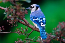 Состоялось внешнее независимое оценивание по биологии