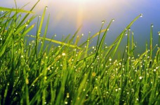 Онлайн расчет тестового балла ЗНО по биологии