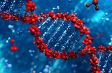 Определены результаты ЗНО по биологии