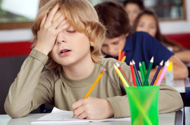 В МОН возмутились политической агитацией в школах