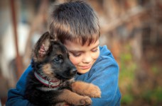 МОН предлагает провести Всеукраинский урок доброты