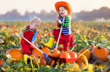 Осенние лагеря - 2018. Популярные направления