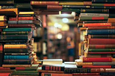 МОН вынесет на обсуждение новые программы по истории