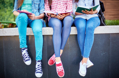 Структура и возрастные особенности учеников