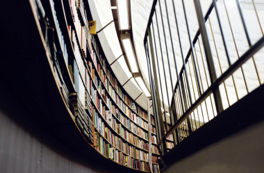 МОН: выборы членов НАЗЯВО будут прозрачными