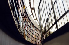 МОН: выборы членов НАЗЯВО будут прозрачными