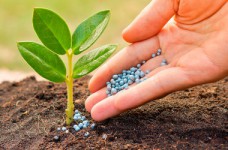 Защита и карантин растений - специальность уровня «бакалавр»