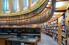 Информационное, библиотечное и архивное дело - специальность уровня «бакалавр»
