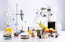 Пищевые технологии - специальность уровня «бакалавр»