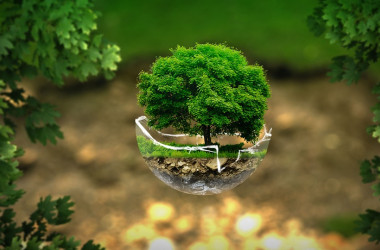 Экология - специальность уровня «бакалавр»