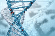 Биотехнологии и биоинженерия - специальность уровня «бакалавр»