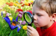 Учимся интересно: узнавай себя и окружающий мир