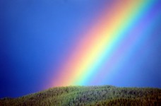 «Радуга»: 30-я неделя НУШ для первого класса