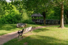 Садово-парковое хозяйство - специальность уровня «бакалавр»