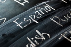 Опубликованы ответы на ЗНО по иностранным языкам