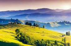 «Я и моя Родина»: 6-я неделя НУШ для первого класса