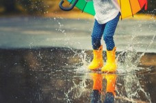 «Приключения капельки»: 12-я неделя НУШ для первого класса 