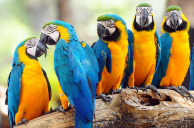 Состоялось внешнее оценивание по биологии