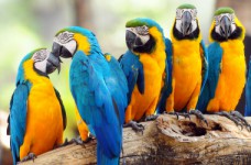 Состоялось внешнее оценивание по биологии