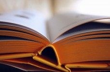 Одно из заданий теста по истории не имеет правильного ответа