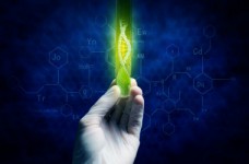 Биотехнологии и биоинженерия - специальность уровня «магистр»