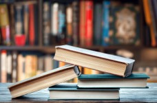 Тест внешнего оценивания по биологии онлайн