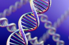 Порог теста ЗНО по биологии составил 23 тестовых балла