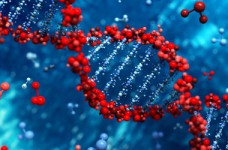 Определены результаты ЗНО по биологии