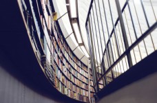 Профсоюз: у вузов нет средств на аккредитацию программ