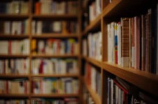 Коллектив ИМЗО против намерения ликвидировать учреждение