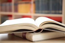 Языковая статья признана конституционной