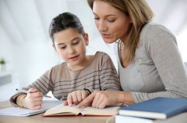 Об индивидуальной форме обучения в школе