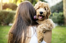 В Украине проведут Всеукраинский урок доброты