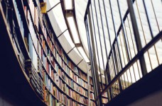 Поступление 2021: минимальные баллы на бюджет