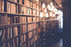 Новосад: в школе должны изучать современных писателей 