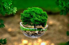 Экология - специальность уровня «магистр»