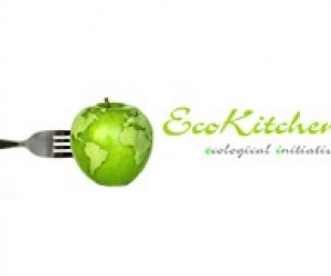 Регистрация на уникальный проект EcoKitchen продолжается