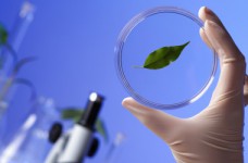 Биология и биохимия - специальность уровня «бакалавр»