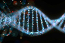 Биология и биохимия - специальность уровня «магистр»