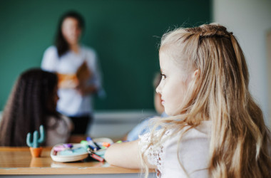 Все дети должны владеть украинским, - Новосад