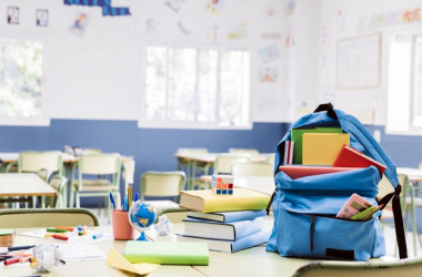 Как защитить права участников образовательного процесса во время карантина?