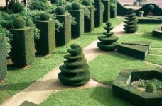 Садово-парковое хозяйство - специальность уровня «магистр»