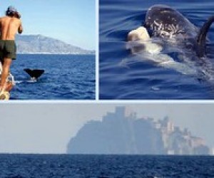 Новое направление экотуризма теперь и в Украине