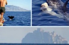 Новое направление экотуризма теперь и в Украине