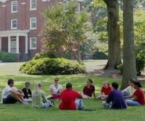 Высшее образование за рубежом: колледжи, как альтернатива университетам