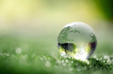 Продолжается прием заявок на научный форум Green Talents