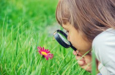 Развиваем у детей естественно-научную компетентность 