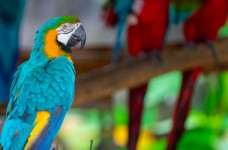 ЗНО по биологии: накануне тестирования