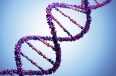 Порог теста ЗНО по биологии составил 22 тестовых балла 